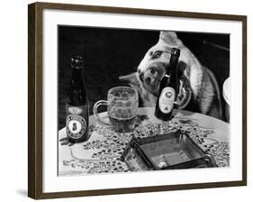 Dog Acts as a Waiter 1965-Staff-Framed Photographic Print