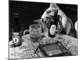 Dog Acts as a Waiter 1965-Staff-Mounted Photographic Print