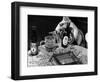 Dog Acts as a Waiter 1965-Staff-Framed Photographic Print