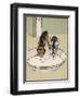 Dog and a Cat Drink Milk from a Large Bowl-Cecil Aldin-Framed Photographic Print