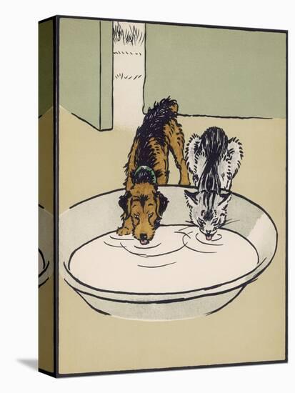 Dog and a Cat Drink Milk from a Large Bowl-Cecil Aldin-Stretched Canvas
