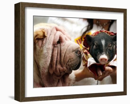 Dog and a Pig are Displayed During a Promotional Event at a Hong Kong Shopping Mall-null-Framed Photographic Print