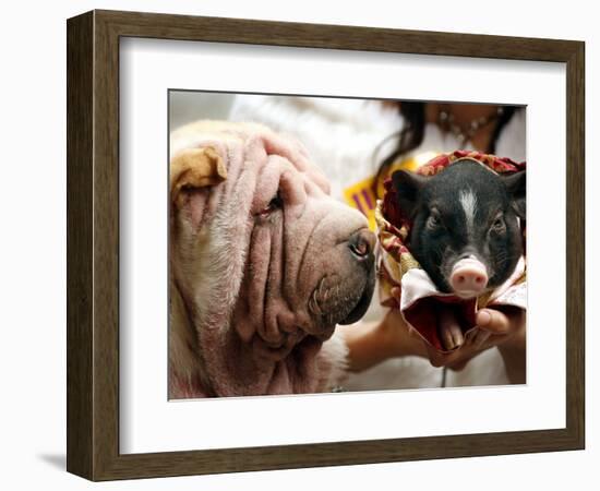 Dog and a Pig are Displayed During a Promotional Event at a Hong Kong Shopping Mall-null-Framed Photographic Print