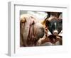 Dog and a Pig are Displayed During a Promotional Event at a Hong Kong Shopping Mall-null-Framed Photographic Print