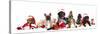 Dog and  Cat and Kitens  Wearing a Santa Hat-Lilun-Stretched Canvas