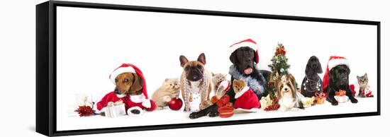 Dog and  Cat and Kitens  Wearing a Santa Hat-Lilun-Framed Stretched Canvas