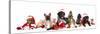 Dog and  Cat and Kitens  Wearing a Santa Hat-Lilun-Stretched Canvas