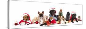 Dog and  Cat and Kitens  Wearing a Santa Hat-Lilun-Stretched Canvas