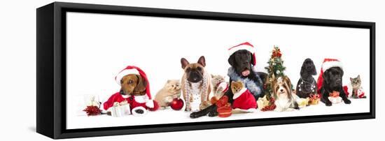 Dog and  Cat and Kitens  Wearing a Santa Hat-Lilun-Framed Stretched Canvas
