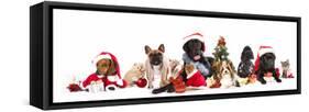 Dog and  Cat and Kitens  Wearing a Santa Hat-Lilun-Framed Stretched Canvas