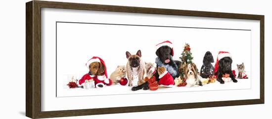 Dog and  Cat and Kitens  Wearing a Santa Hat-Lilun-Framed Photographic Print