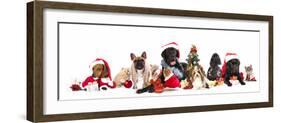 Dog and  Cat and Kitens  Wearing a Santa Hat-Lilun-Framed Photographic Print