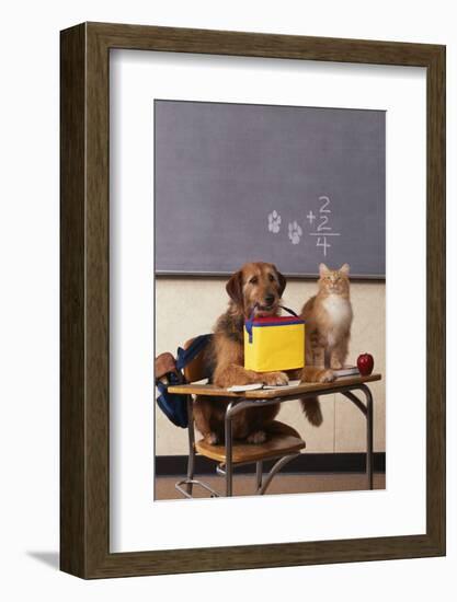 Dog and Cat at School-DLILLC-Framed Photographic Print