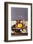 Dog and Cat at School-DLILLC-Framed Photographic Print