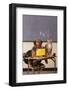 Dog and Cat at School-DLILLC-Framed Photographic Print