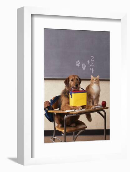 Dog and Cat at School-DLILLC-Framed Photographic Print