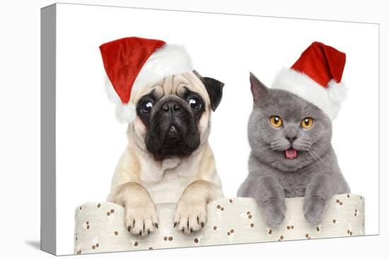 Dog And Cat In Red Christmas Hat-Jagodka-Stretched Canvas