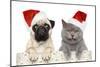 Dog And Cat In Red Christmas Hat-Jagodka-Mounted Photographic Print