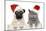 Dog And Cat In Red Christmas Hat-Jagodka-Mounted Photographic Print