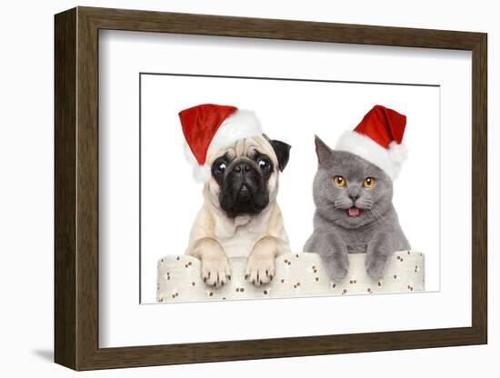 Dog And Cat In Red Christmas Hat-Jagodka-Framed Photographic Print