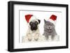 Dog And Cat In Red Christmas Hat-Jagodka-Framed Photographic Print