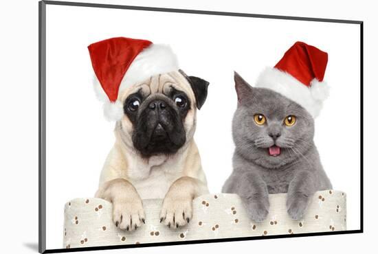 Dog And Cat In Red Christmas Hat-Jagodka-Mounted Photographic Print