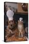 Dog and Cat Making Pizza-DLILLC-Stretched Canvas