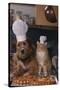 Dog and Cat Making Pizza-DLILLC-Stretched Canvas
