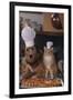 Dog and Cat Making Pizza-DLILLC-Framed Premium Photographic Print