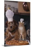 Dog and Cat Making Pizza-DLILLC-Mounted Premium Photographic Print