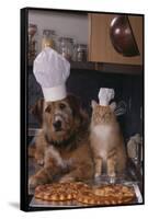 Dog and Cat Making Pizza-DLILLC-Framed Stretched Canvas