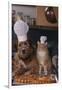 Dog and Cat Making Pizza-DLILLC-Framed Photographic Print