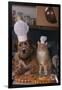 Dog and Cat Making Pizza-DLILLC-Framed Photographic Print