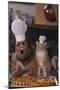 Dog and Cat Making Pizza-DLILLC-Mounted Photographic Print