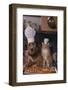 Dog and Cat Making Pizza-DLILLC-Framed Photographic Print