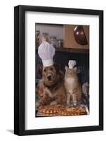 Dog and Cat Making Pizza-DLILLC-Framed Photographic Print