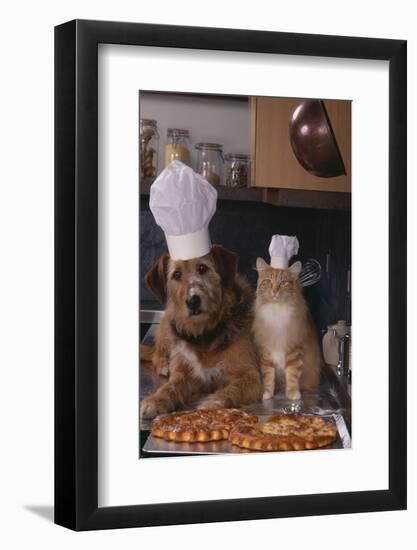 Dog and Cat Making Pizza-DLILLC-Framed Photographic Print
