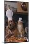 Dog and Cat Making Pizza-DLILLC-Mounted Photographic Print