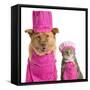 Dog and Cat Ready for Cooking-websubstance-Framed Stretched Canvas