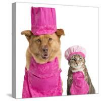 Dog and Cat Ready for Cooking-websubstance-Stretched Canvas