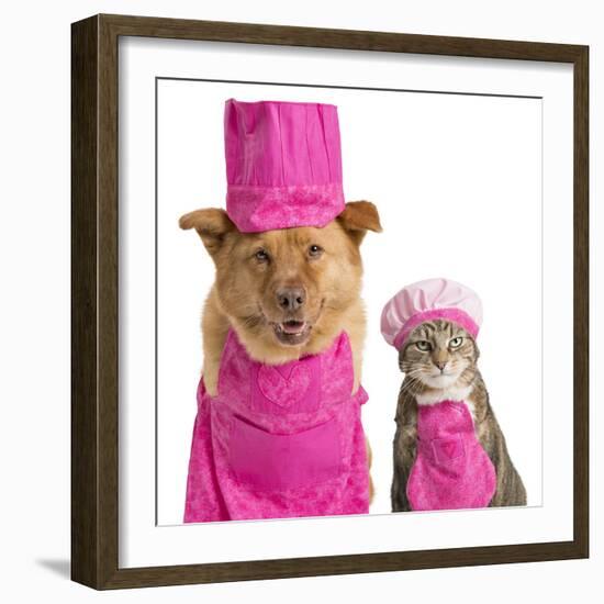 Dog and Cat Ready for Cooking-websubstance-Framed Photographic Print