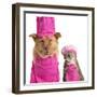 Dog and Cat Ready for Cooking-websubstance-Framed Photographic Print
