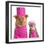 Dog and Cat Ready for Cooking-websubstance-Framed Photographic Print