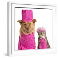 Dog and Cat Ready for Cooking-websubstance-Framed Photographic Print