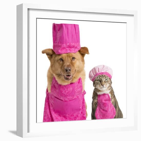 Dog and Cat Ready for Cooking-websubstance-Framed Photographic Print