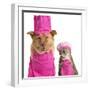 Dog and Cat Ready for Cooking-websubstance-Framed Photographic Print