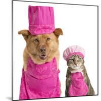 Dog and Cat Ready for Cooking-websubstance-Mounted Photographic Print