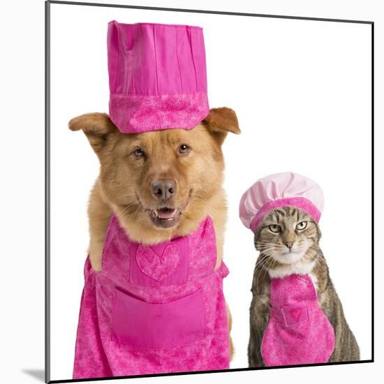 Dog and Cat Ready for Cooking-websubstance-Mounted Photographic Print