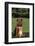 Dog and Cat Sitting Together on Lawn-DLILLC-Framed Photographic Print