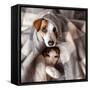 Dog and Cat under a Plaid. Pet Warms under a Blanket in Cold Autumn Weather-null-Framed Stretched Canvas